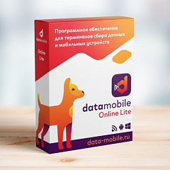 ПО DataMobile, версия Online Lite в Ижевске