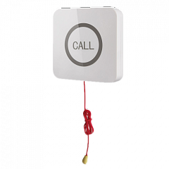 Кнопка вызова iBells 310S влагозащищенная со шнуром для МГН в Ижевске